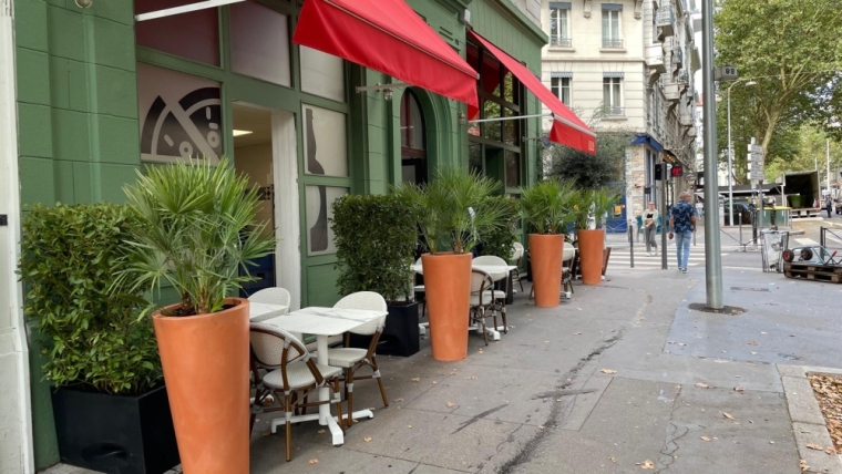 Aménagement de plantes et bacs sur terrasse à Lyon