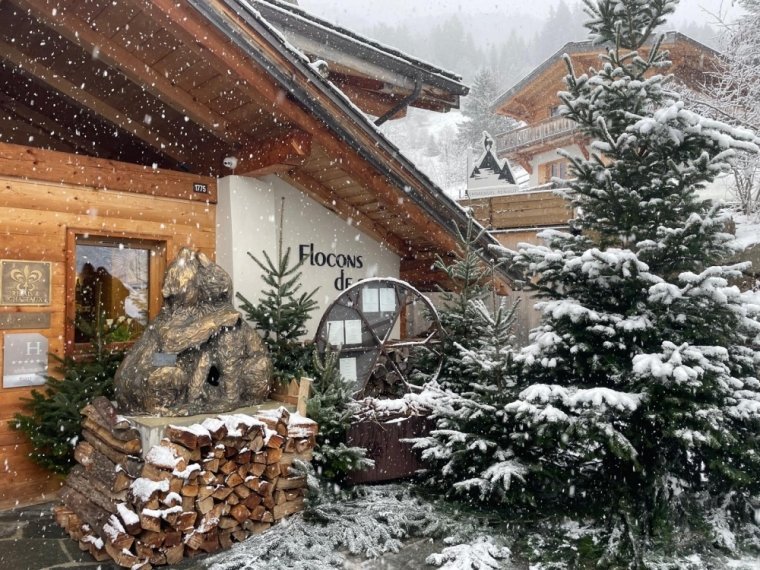 Décors naturel pour Noël à Lyon