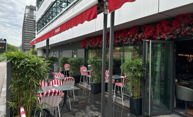 Aménagement de plantes et bacs de vos terrasses pour l'été à la Tour de Salvagny