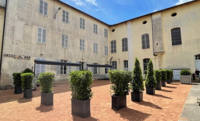 Location de plante pour terrasse de restaurant à Lyon