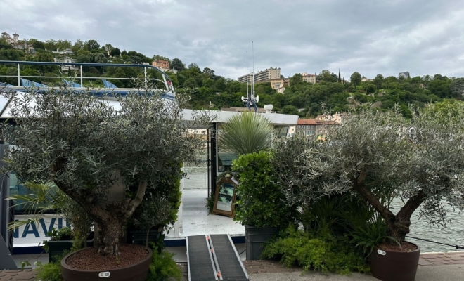 Décoration de mariage avec plantes et fleurs à Lyon 