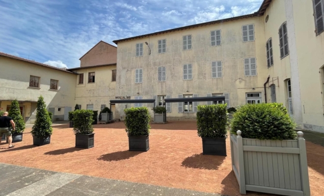 Location de plante pour terrasse de restaurant à Lyon