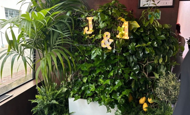 Décoration de mariage avec plantes et fleurs à Lyon 