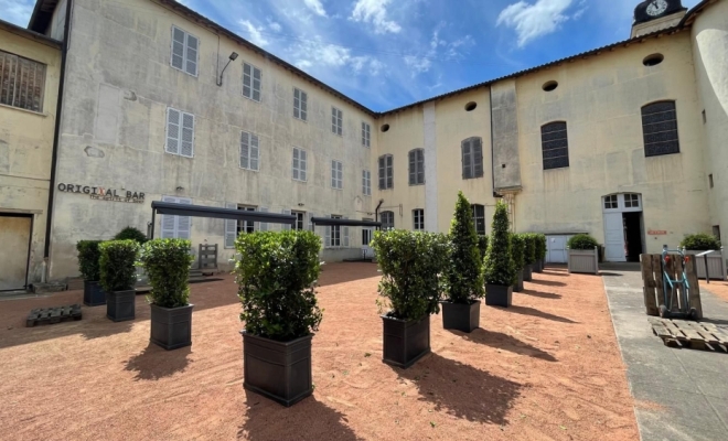 Location de plante pour terrasse de restaurant à Lyon