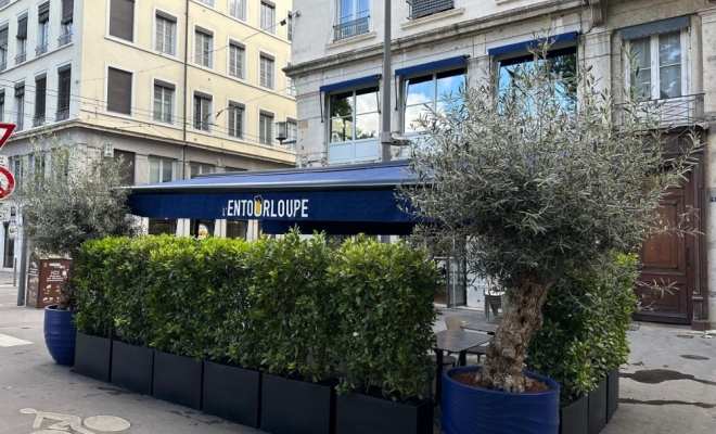 Aménagement de terrasse végétale à Lyon