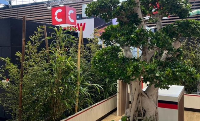 Plantes pour décors de stand dans les salons à Lyon