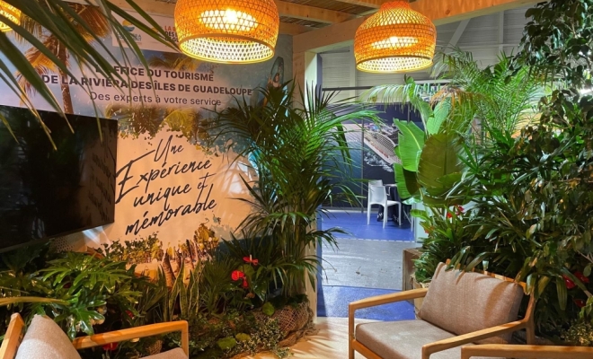 Plantes pour décors de stand dans les salons à Lyon