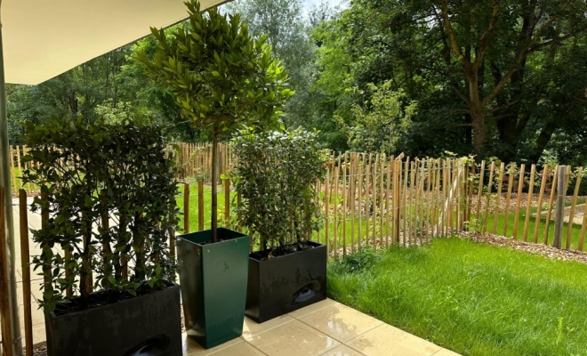 Barrière ou occultation végétale pour vos terrasses ou de rez-de-jardin à Lyon 