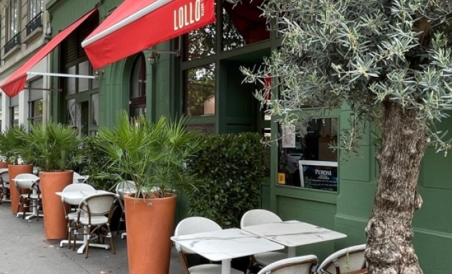 Aménagement de plantes et bacs sur terrasse à Lyon