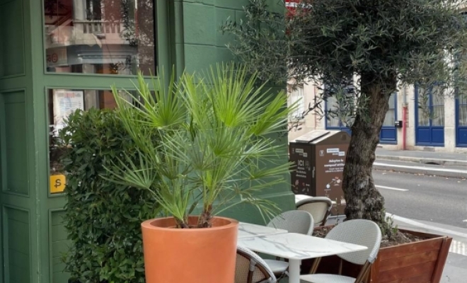 Aménagement de plantes et bacs sur terrasse à Lyon