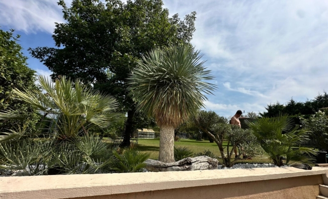 Aménagement de plantes extérieur à la Tour de Salvagny