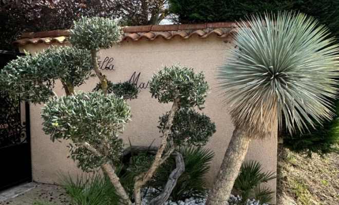 Aménagement de plantes extérieur à la Tour de Salvagny