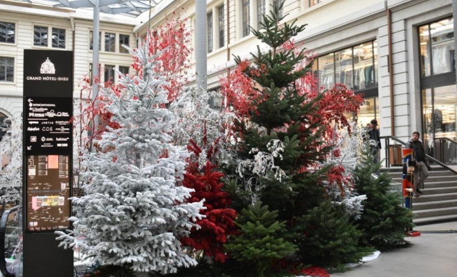 Décoration pour Noël à Lyon