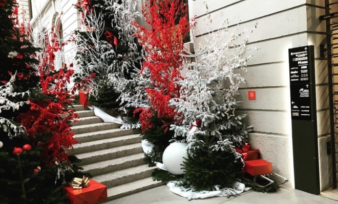 Décoration pour Noël à Lyon