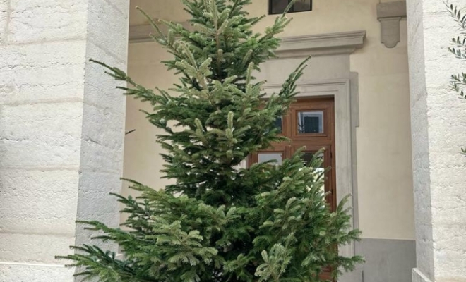 Décoration pour Noël à Lyon